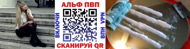 Альфа ПВП СК КРИС Новодвинск