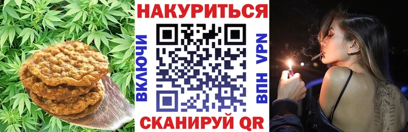 кракен как зайти  Новодвинск  Canna-Cookies конопля 