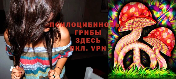 гашик Армянск