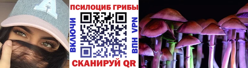 Псилоцибиновые грибы мухоморы  Новодвинск 